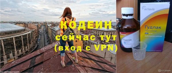 прущие грибы Приозерск