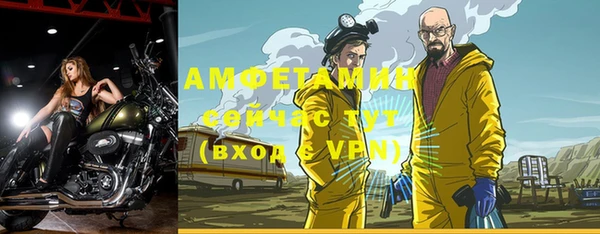 прущие грибы Приозерск